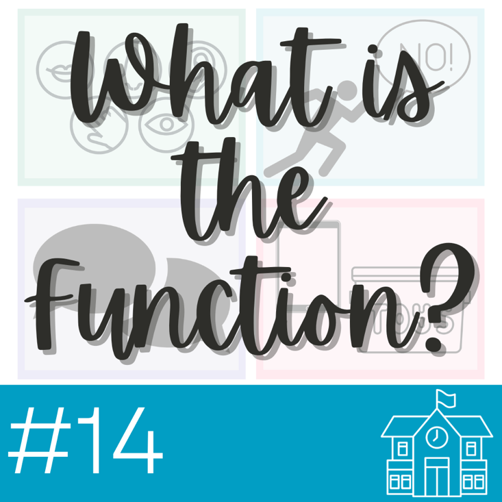 Fact Sheet: What is the Function?