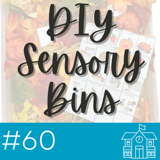 Fact Sheet 60- DIY Sensory Bins