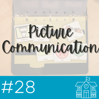 Fact Sheet: Picture Communication
