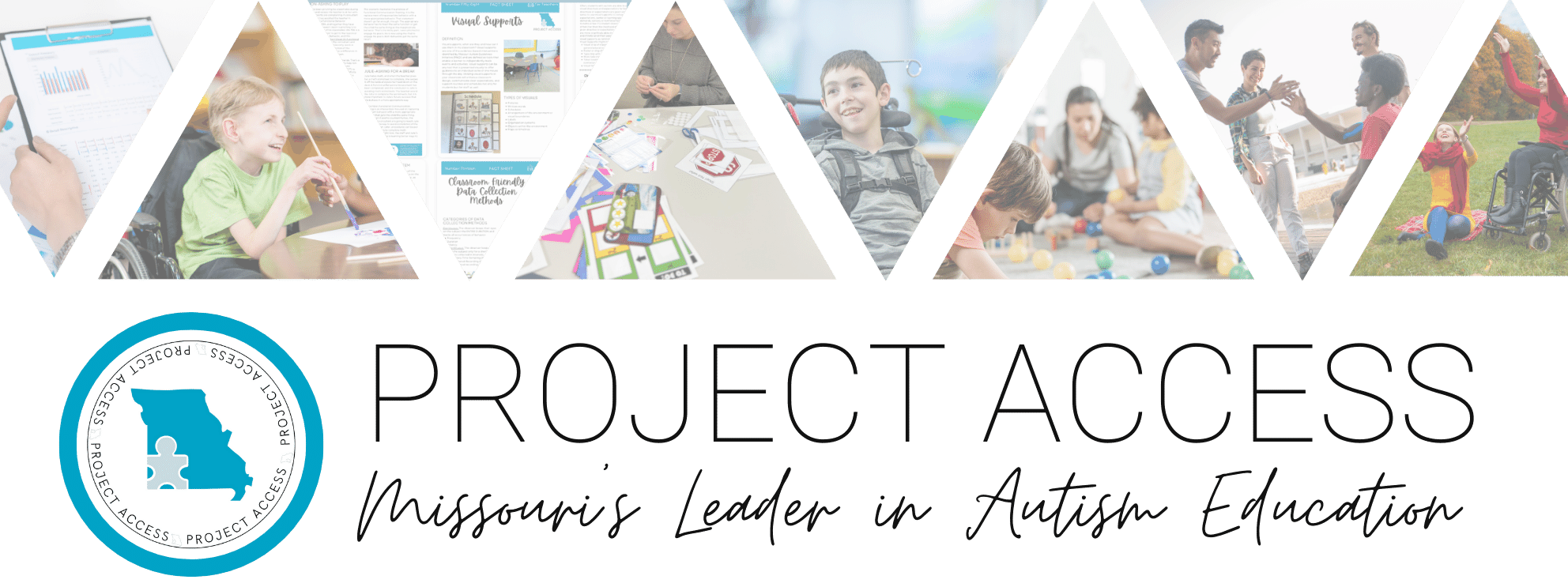 Project Access Banner